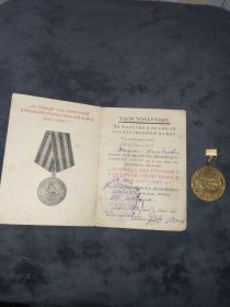 Медаль «За победу над Германией в Великой отечественной войне 1941 – 1945 гг.»