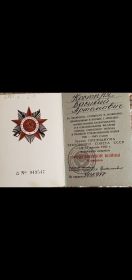 Орден Великой Отечественной войны 2-й степени, медаль Жукова, медаль за доблесть.и отвагу в Великой Отечественной войне,  медаль за победу над Германией.