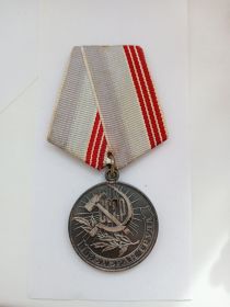 За доблестный труд в Великой Отечественной войне 1941-1945гг.