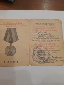 "За доблестный труд в Великой отечественной войне 1941-1945 гг."