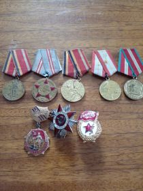 Ордена победа над Германией и Японией, орден за отвагу, орден 2 степени в ВОВ, орден Славы и другие юбилейные медали