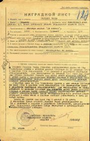 Медаль «За отвагу» Дата рождения __.__.1919  Дата документа 06.11.1947  Воинское звание сержант  Архив ЦАМО  Фонд ист. информации Картотека награждений  Дело ист. информации шкаф 19, ящик 19
