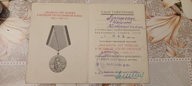 Медаль Двадцать лет победы в Великой Отечественной Войне