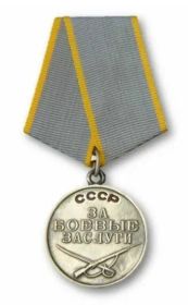 Медаль за боевые заслуги