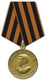 Медаль «За победу над Германией в Великой Отечественной войне 1941–1945 гг.»