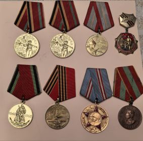 Награжден Орденом Отечественной войны II степени (1945г), Орденом Красной звезды (1942г). Указом Президиума Верховного Совета СССР - медалью “За Отвагу” (1942г), “ За взятие Берлина” (1946г),