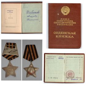 Орден 3 степени 730978