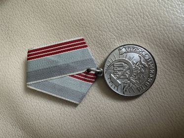 ЗА ДОЛГОЛЕТНИЙ ДОБРОСОВЕСТНЫЙ ТРУД