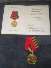 Медаль Жукова