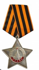 Орден Славы 3 степени