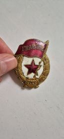 Нагрудный знак Гвардия