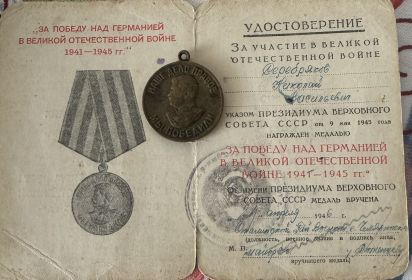 Медаль « За Победу над Германией в Великой Отечественной Войне 1941-1945гг.»