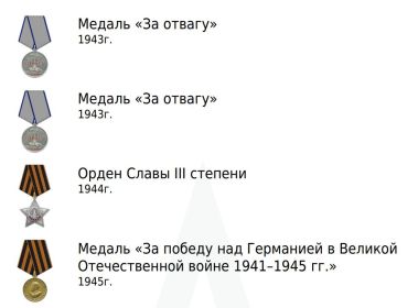 Орден Славы III степени, Медаль «За отвагу», Медаль «За победу над Германией в Великой Отечественной войне 1941–1945 гг.»