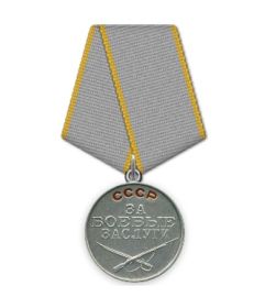 Медаль за боевые заслуги