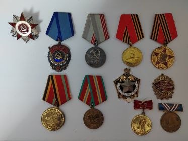 Орден ВОВ, Орден Трудового Красного Знамени, Медаль Жукова, Памятная медаль ХХХ лет победы в ВОВ, Медаль 70 лет ВС СССР, Медаль Ветеран Труда, Знак Шахтерская Слава, Медаль 50 лет ВС СССР,