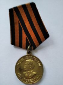 Медаль «За победу над Германией в Великой Отечественной войне 1941—1945 гг.»