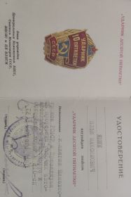 Медаль "Ударник десятой пятилетки"