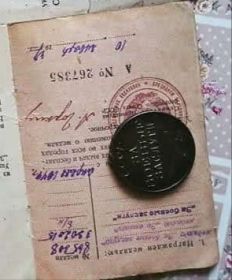 Медаль за боевые заслуги