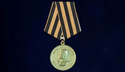 Медаль «За победу над Германией в Великой Отечественной войне 1941–1945 гг.