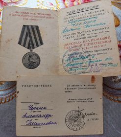 Медаль  За победу над Германией в великой отечественной войне 1941-1945 гг.