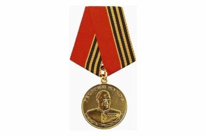 Медаль «Жукова»