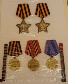 Орден Славы III степени (2); Орден Славы II степени (2); Медаль «За освобождение Праги»; Медаль «За взятие Берлина»