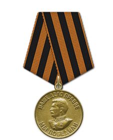Медаль «За победу над Германией в Великой Отечественной войне 1941–1945 гг.»
