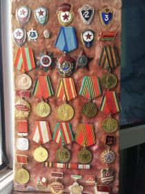 Множественные награды