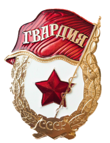 Нагрудный знак "Гвардия"