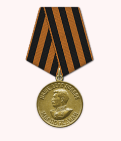 Медаль "За победу над Германией в Великой Отечественной войне 1941-1945гг"