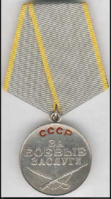 медаль «ЗА БОЕВЫЕ ЗАСЛУГИ»