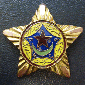 Нагрудный Знак за борьбу с Басмачеством БНСР