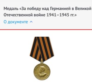 «За победу над Германией в Великой Отечественной Войне 1941-1945гг.»
