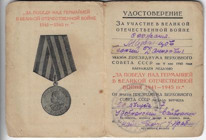 Медаль "За победу над Германией"