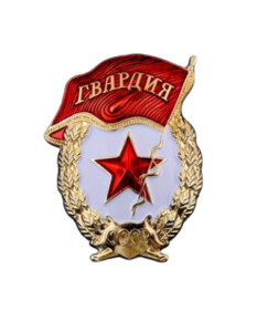 Нагрудный знак "Гвардия"