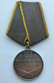 Медаль «За боевые заслуги»