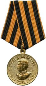 Медаль «За победу над Германией в Великой Отечественной войне 1941—1945 гг.»