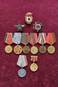 Награды Ефименко Н. И.