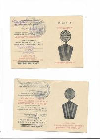 За взятие Будапешта. Победа над Германией