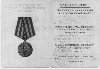 Медаль «За Победу над Германией в Великой Отечественной войне1941-1945 гг»