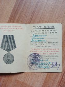 Медаль «За победу над Германией в Великой Отечественной войне 1941—1945 гг.»