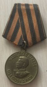 Медаль За победу над Германией в Великой Отечественной войне 1941-1945 гг.