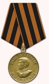 Медаль «За победу над Германией в Великой Отечественной войне 1941–1945 гг.»