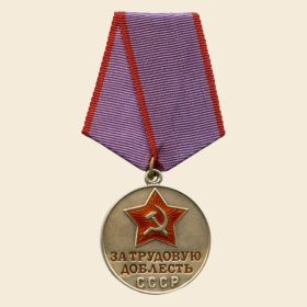 Медаль «За трудовую доблесть»