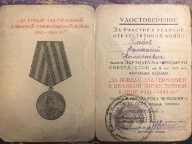медаль «За Победу над Германией»