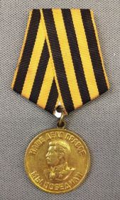 Медаль «За победу над Германией в Великой Отечественной войне 1941–1945 гг.»
