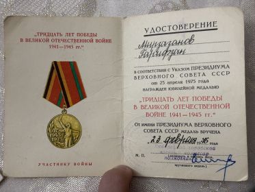 ТРИДЦАТЬ ЛЕТ ПОБЕДЫ В ВЕЛИКОЙ ОТЕЧЕСТВЕННОЙ ВОЙНЕ 1941—1945 гг.