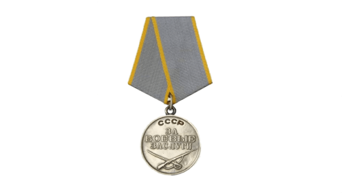 медаль  «За боевые заслуги»