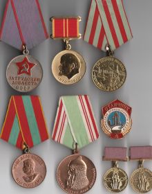 Медали и знаки Каменского И.В.