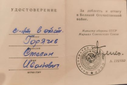 ЗА ДОБЛЕСТЬ И ОТВАГУ В ВОВ.